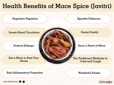 Mace Spice (Javitri) Benefits And Its Side Effects .